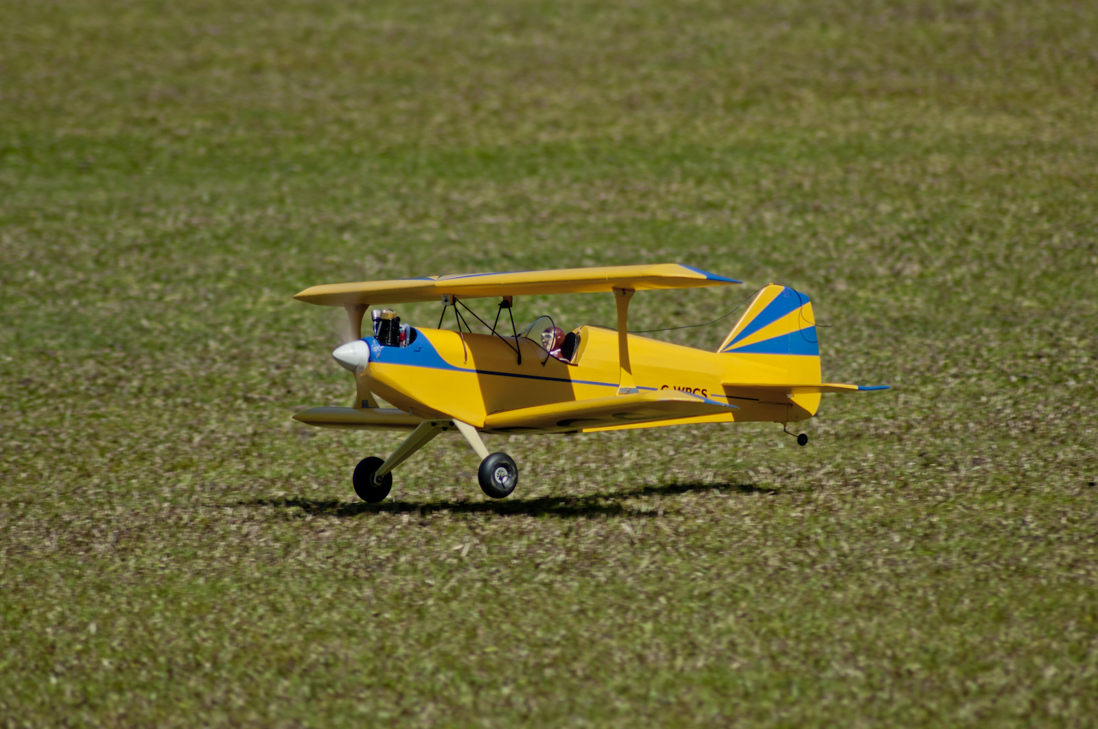 _DSC0049-16