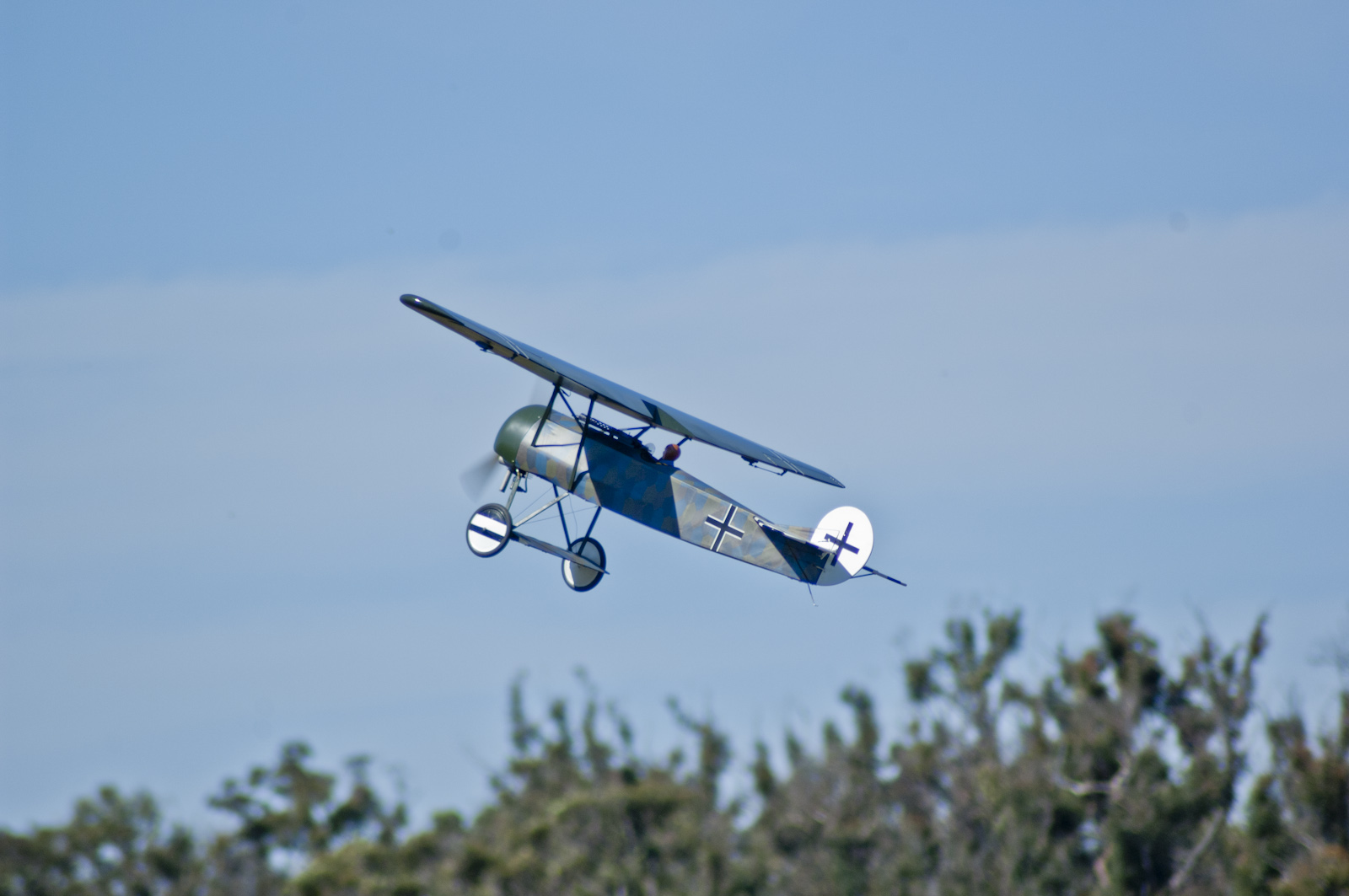 _DSC0094-22