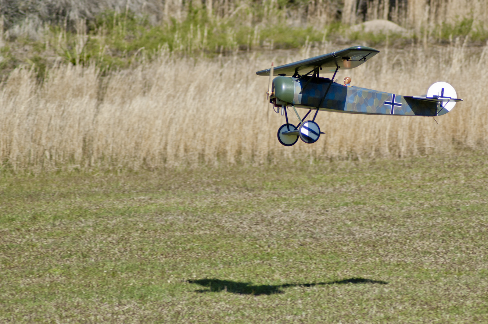_DSC0115-29